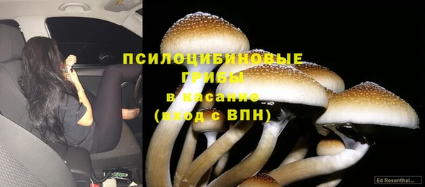Альфа ПВП Нязепетровск