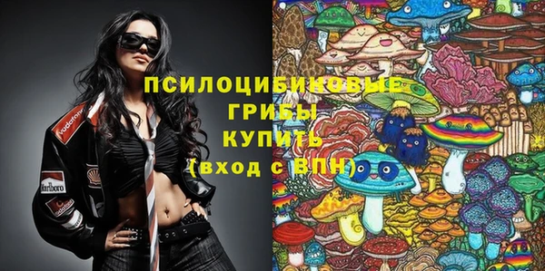 mdpv Няндома