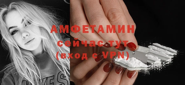 ПСИЛОЦИБИНОВЫЕ ГРИБЫ Новозыбков