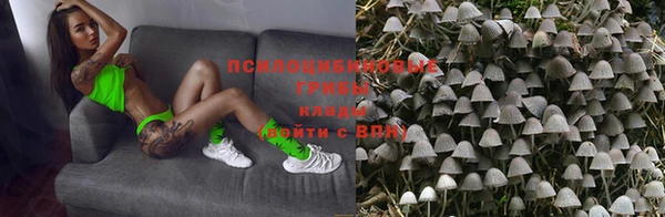 mdpv Няндома