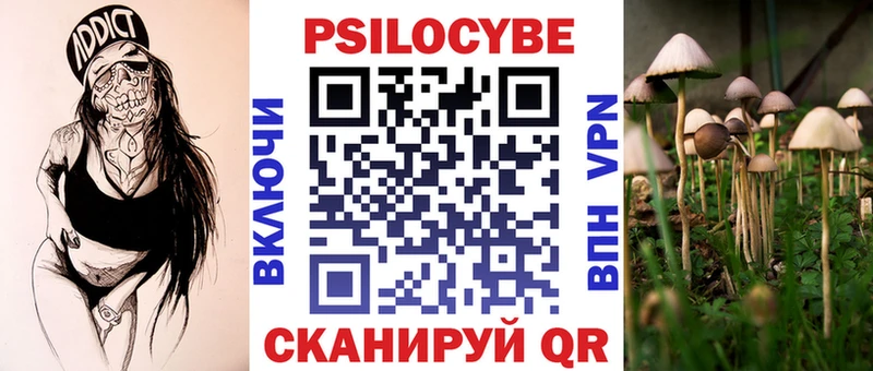 Галлюциногенные грибы прущие грибы  Пошехонье 